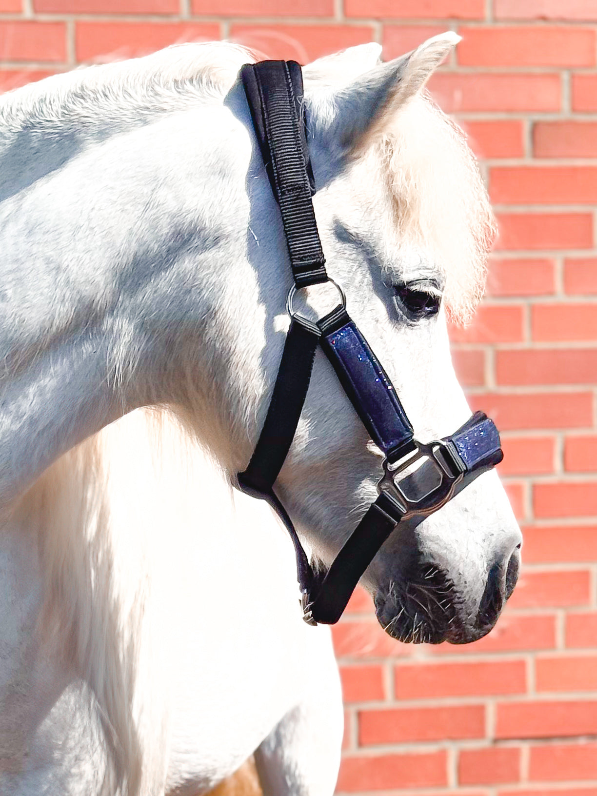 Glitzer Halfter BLUE LAGOON