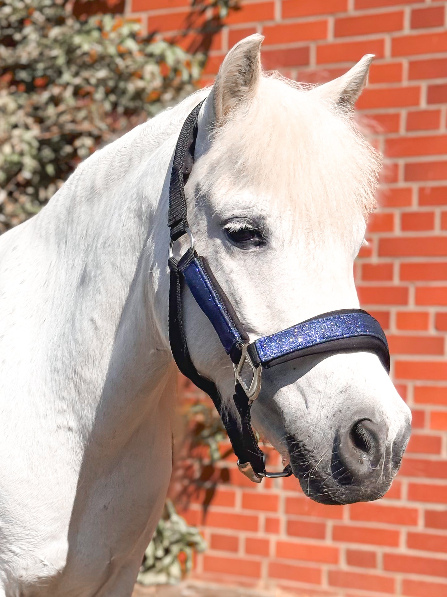 Glitzer Halfter BLUE LAGOON